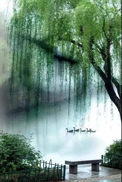 江南烟雨图,唯美