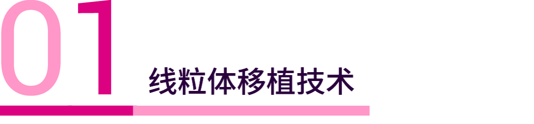 nature 发文! 如果有一天,线粒体也能被移植 | medchemexpress (mce)