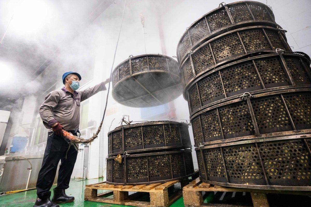 “粽子村”里粽飘香：湖南道源湖村的非凡故事-湖南道源湖食品贸易有限公司