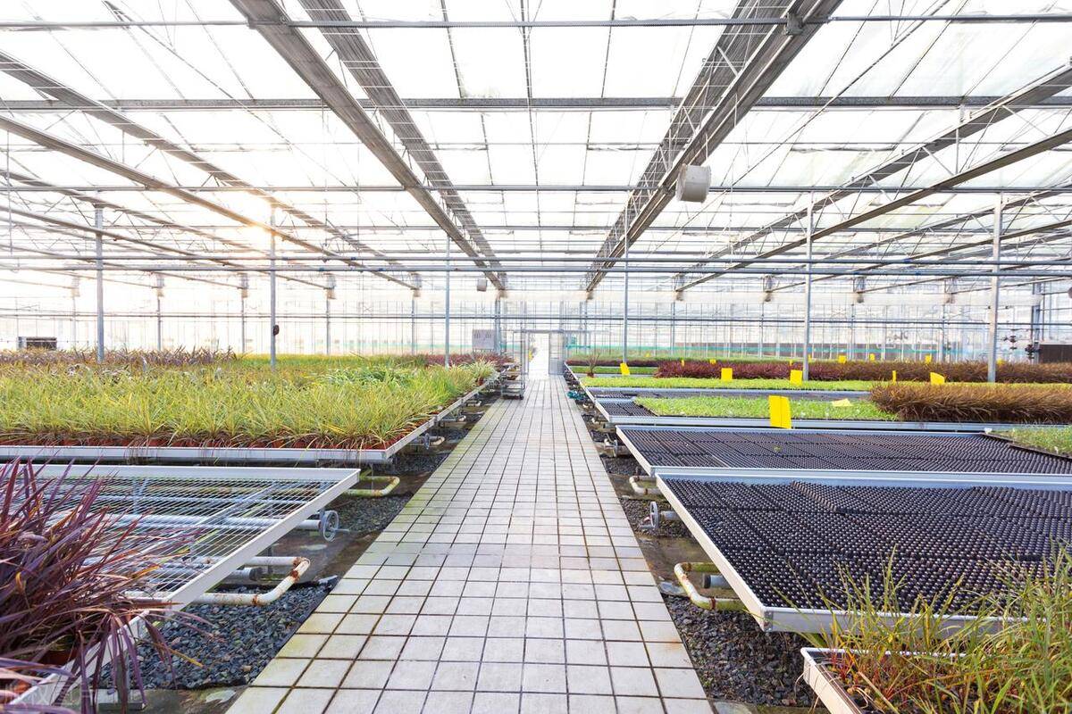 玻璃温室在现代农业中的优势与应用