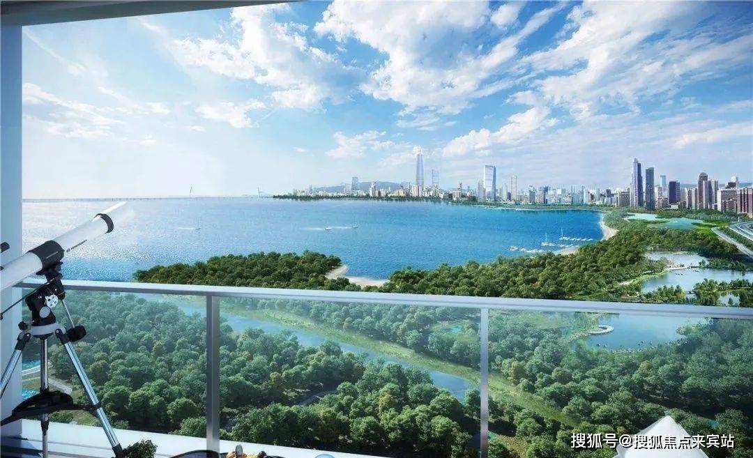 中信城开红树湾(售楼处)首页网站|中信城开红树湾售