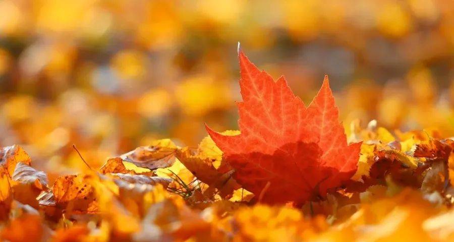 活路都没了！一些家电企业和商家哪里来的退路？-家电圈官网