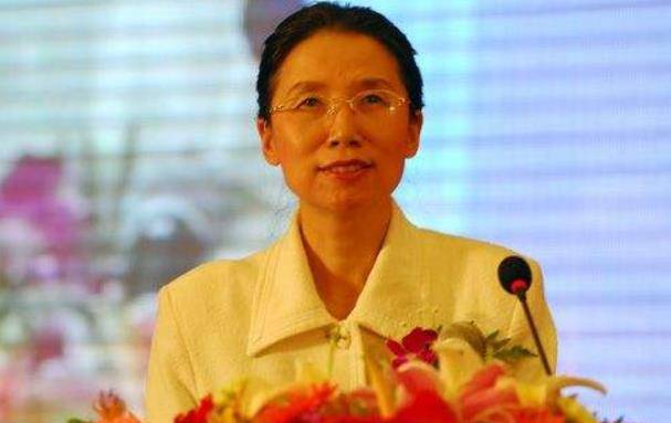 中科院教授杨佳:29岁失明遭丈夫抛弃,8年后,追逐梦想考入哈佛