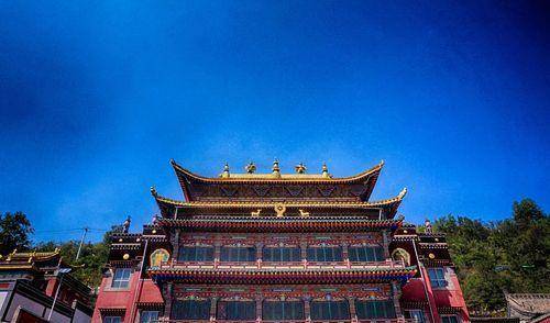 清朝的鲁沙尔镇,贸易特点有哪些?