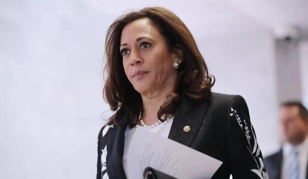 哈里斯:美国历史上诞生的第一位女副总统,她是一个怎样的女人?