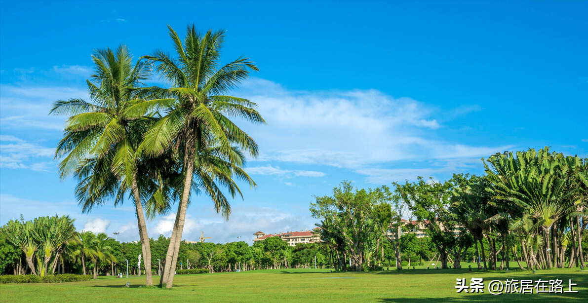 海南市区旅游,万绿园怎么样