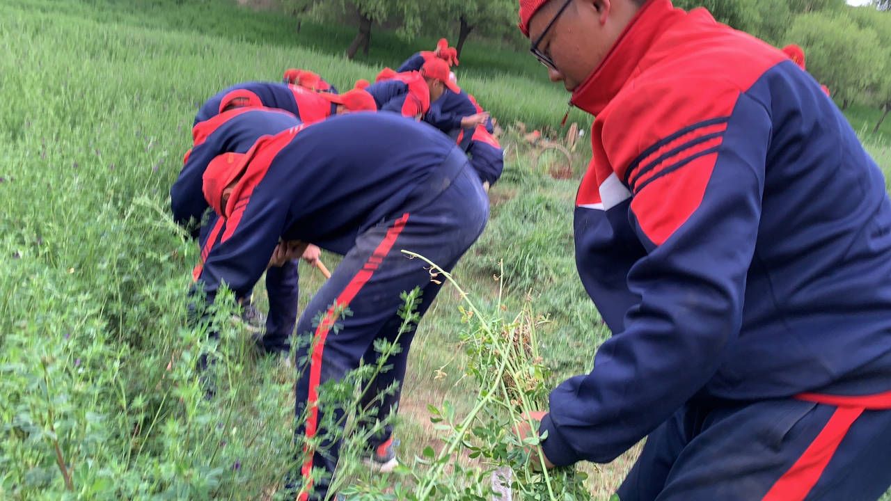 吃苦夏令营:暑假最有教育意义的成长之旅