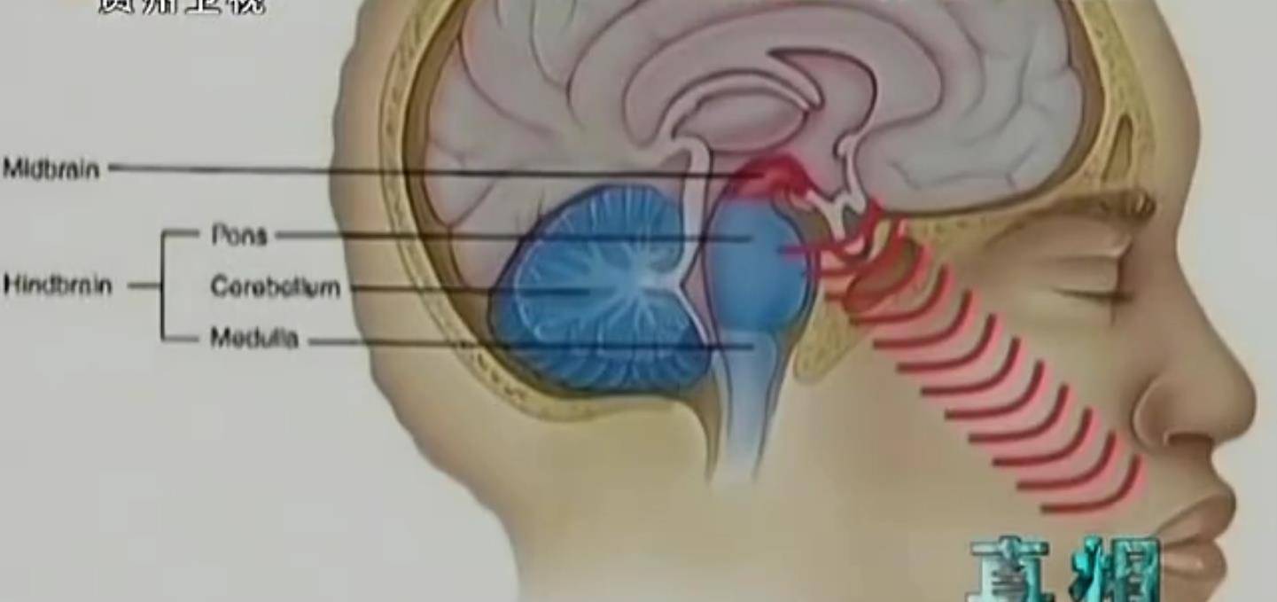 2010年,佛山"透视神童"可以用脑波看物,"特异功能"培训费吓人