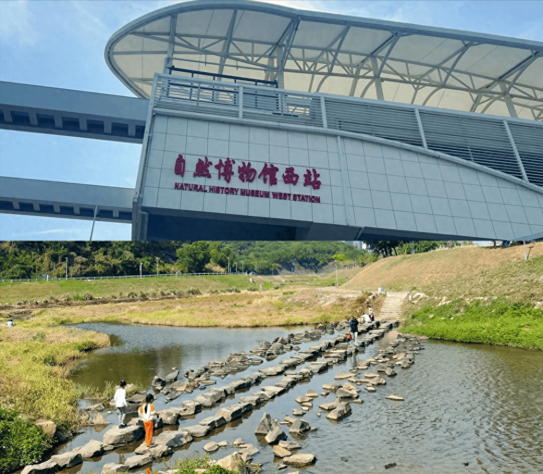 地铁直达,出来就是深圳的宫崎骏夏天,免费溯溪钓鱼好去处