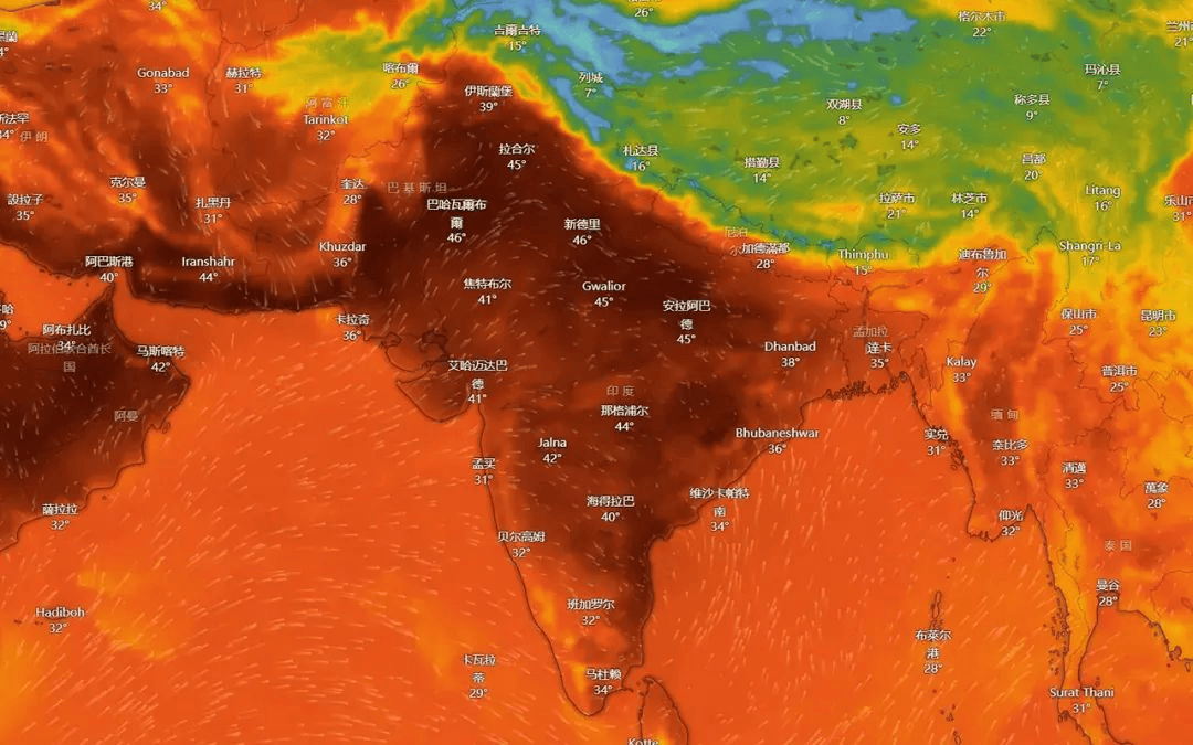 高温热浪创175年来新高,如何应对"超级夏天"?