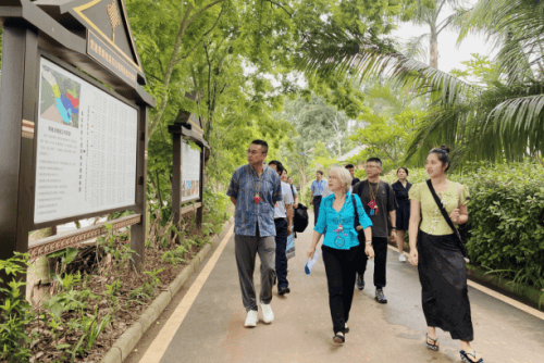 "undp-植物医生生物多样性保护"项目:巩固生物多样性向好态势