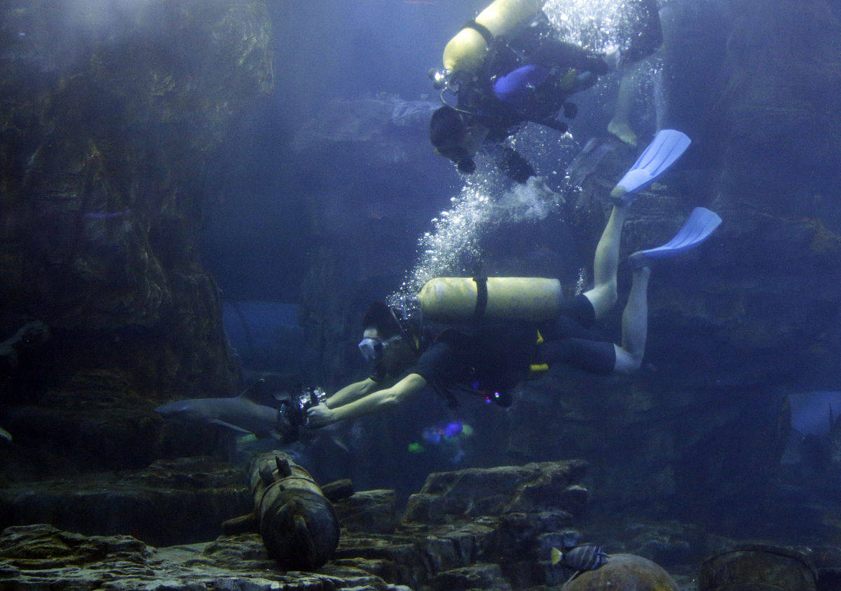 男子潜水发现海底有11个密封坛 :你预测未来潜水旅游会朝着怎样的趋势