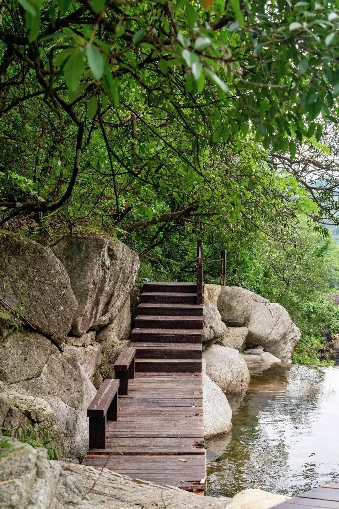 广东罗浮山白鹤制药厂图片