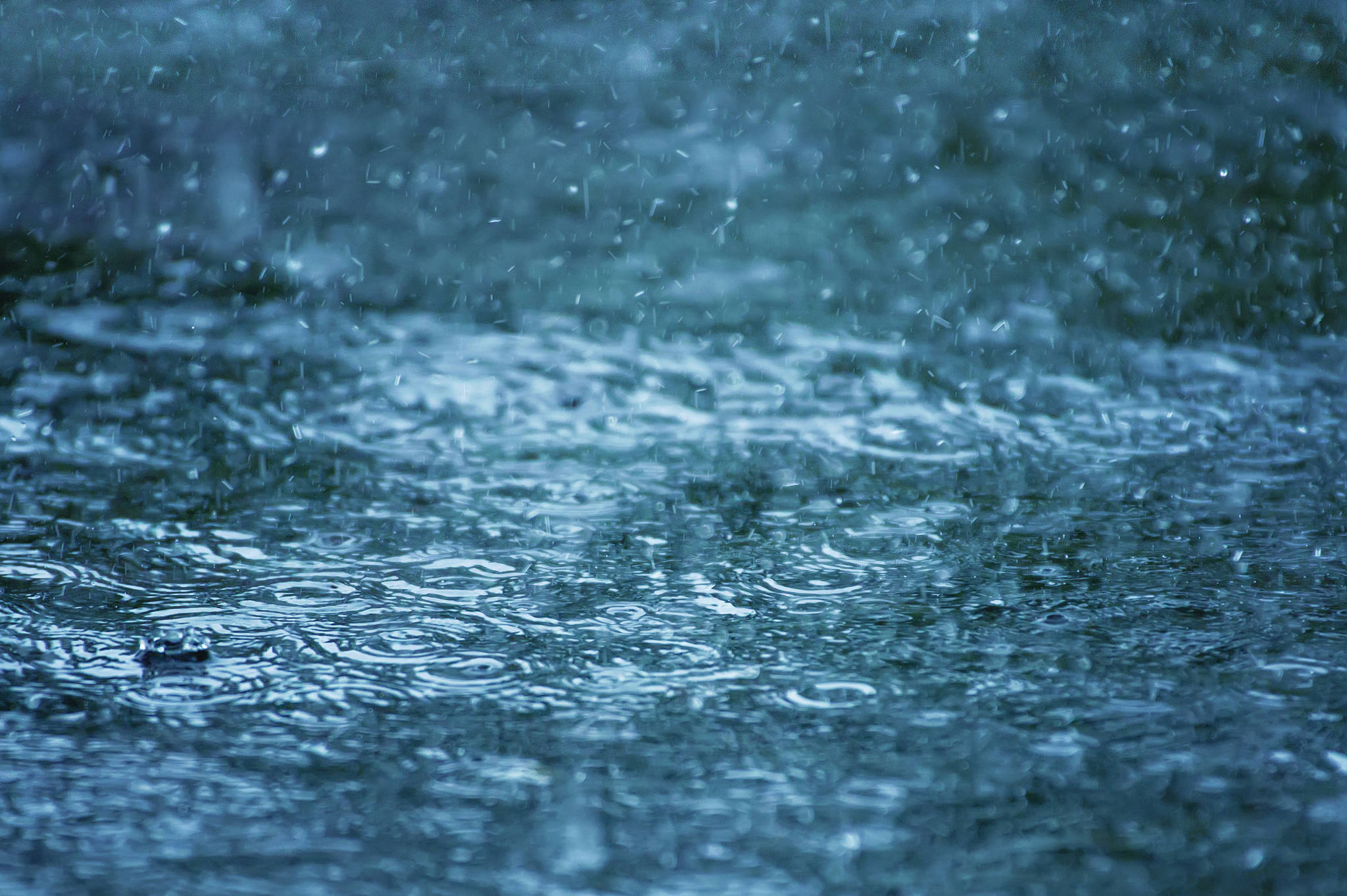今晚,贵阳贵安大部有雷雨,气温明显下降!