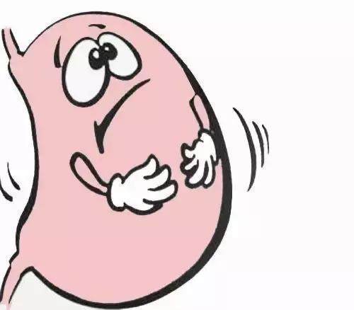 幽门螺杆菌的"克星",每天吃一点,保护胃黏膜,胃病不来找