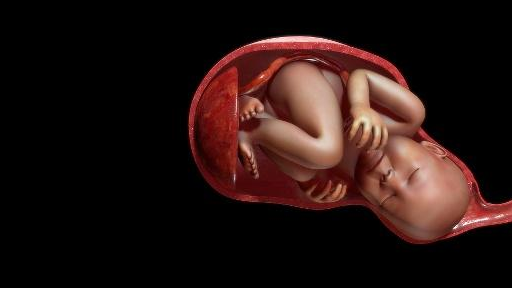 怀孕期间，准妈妈的身体有这三种感觉，可能是胎儿在“哭”！_时间_确定_肚子
