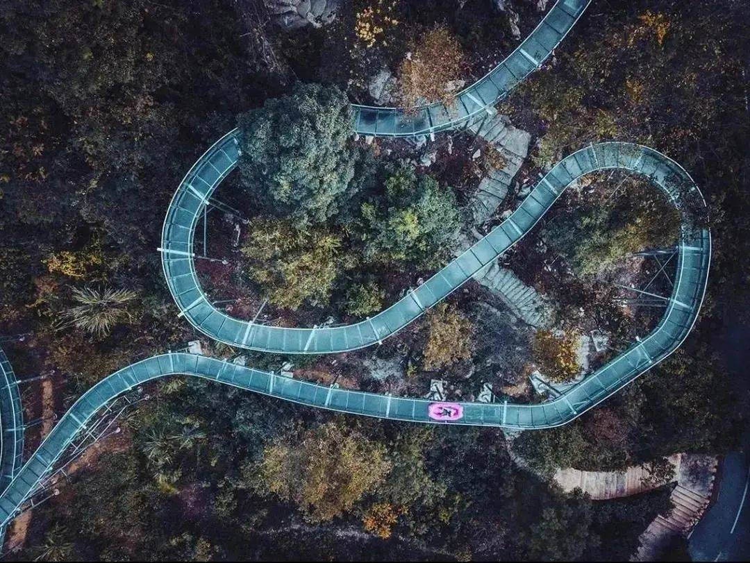 这些初夏出游目的地,一定要码住!