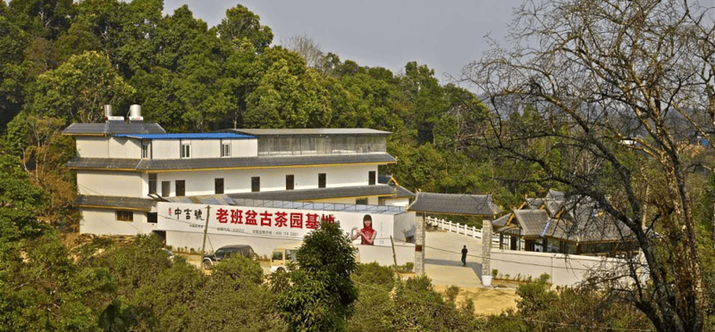 勐海县:赋能产业发展,谱写边寨"幸福曲"