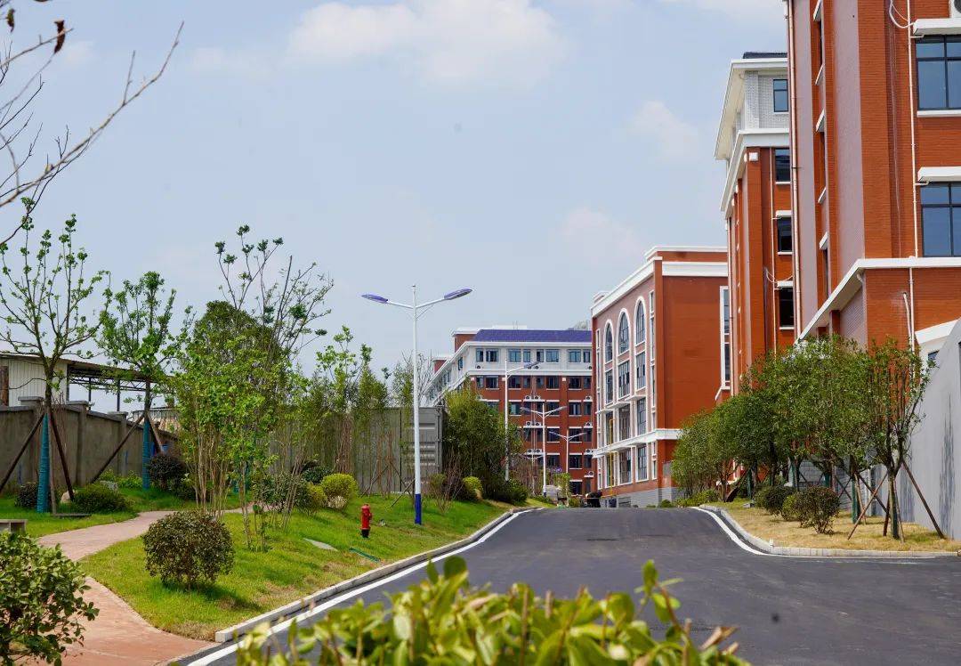 湖南医药职业中等专业学校分数线是多少?