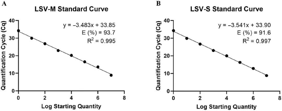 lsv-m和lsv-s检测体系的标准曲线灵敏度测试中,在95% lod和50% lod下