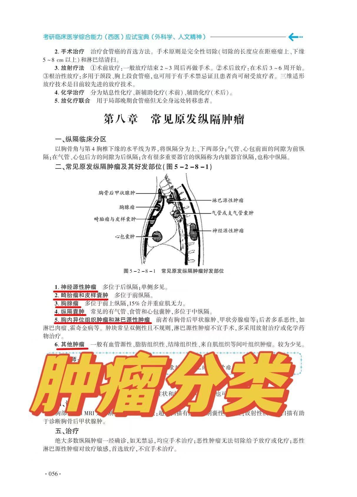 杨净考研西医综合常见原发纵隔肿瘤好发部位