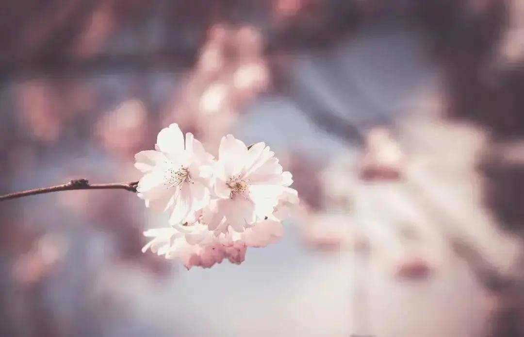 我想进老婆的家族企业群，他却不愿拉我进来，我该咋办(图2)