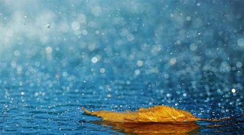 史上最精绝的一首写雨词,细腻如针尖弄墨,读完有雨点轻打脸颊!