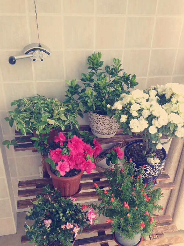 95平二房,卧室开两窗户还带阳台,装修材料全用大品牌