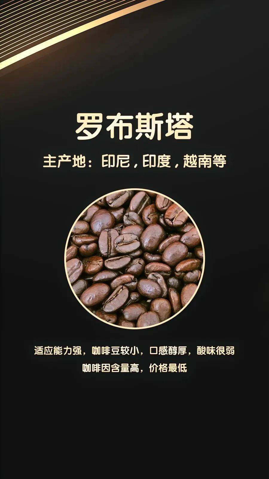 世界四大咖啡豆品种_搜狐网