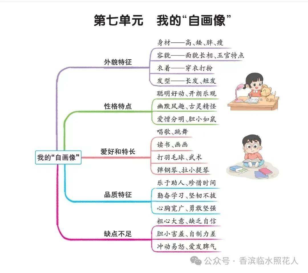 荔枝的思维导图怎么写图片