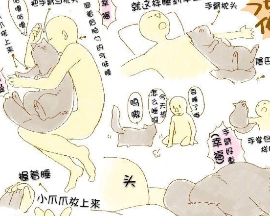 日推网友suga_kinako分享的"冬日与猫猫的睡姿",又到了能抱着猫睡觉的