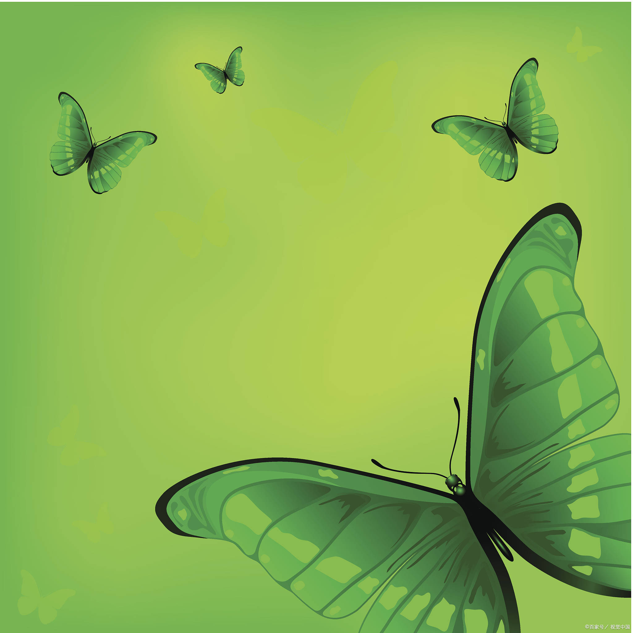 云南绿色蝴蝶大爆发 :元江山谷气候和生态条件对蝴蝶的繁衍有什么影响