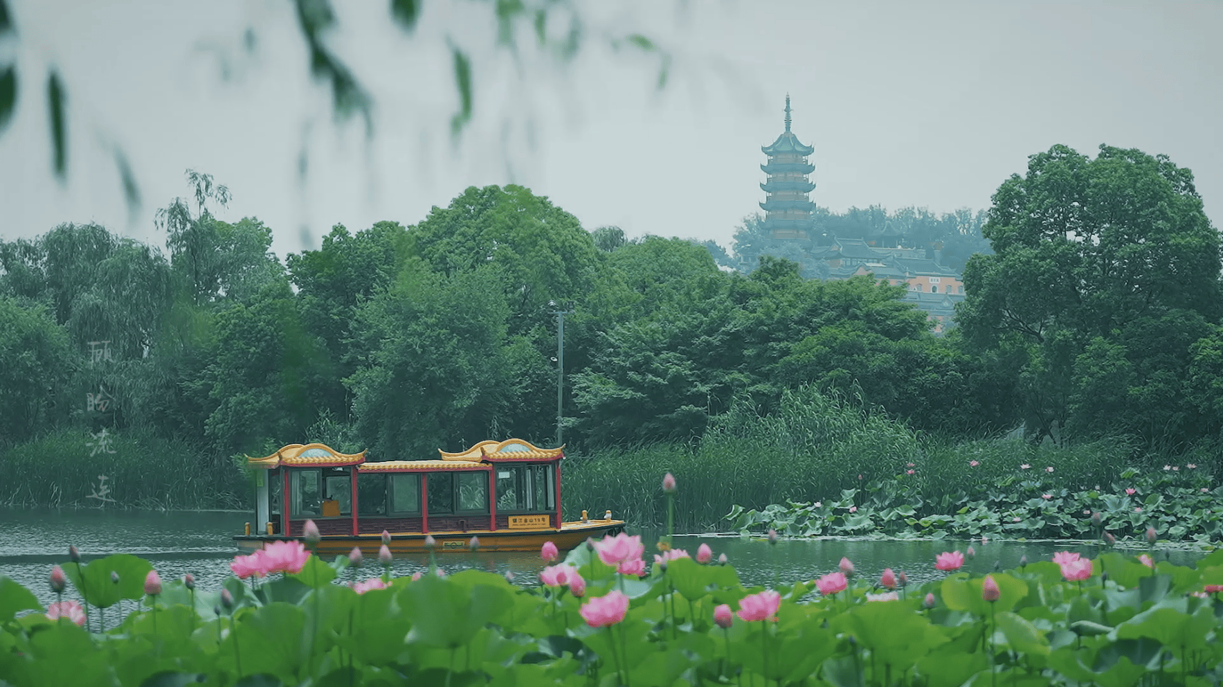 镇江市金山湖图片