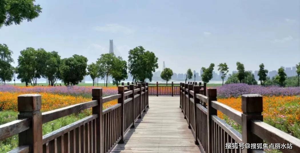 汉口江滩公园实景图:最新动态:武汉城建·电建滨江云城(江岸——二七