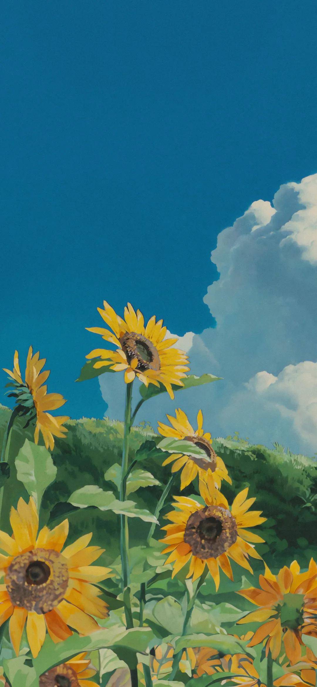 宫崎骏的动漫作品,为用户的手机屏幕增添了一抹梦幻与温馨_画面_壁纸