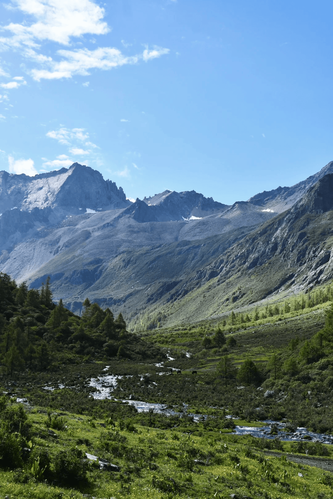 四川旅游景点免费开放图片