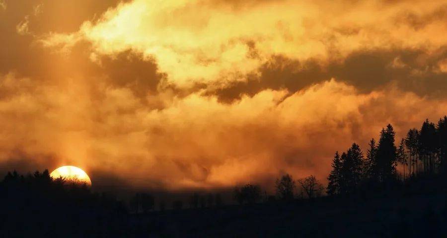 今年上半年家电市场的核心变化就一个-家电圈官网