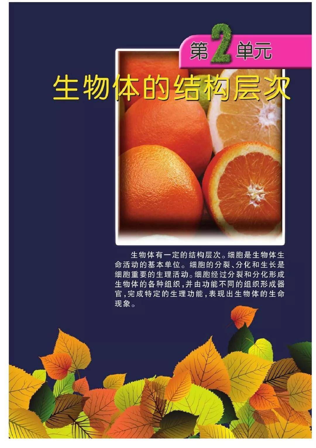 七上生物江苏(江苏生物七年级上册)  第2张 七上生物江苏(江苏生物七年级上册)  第2张