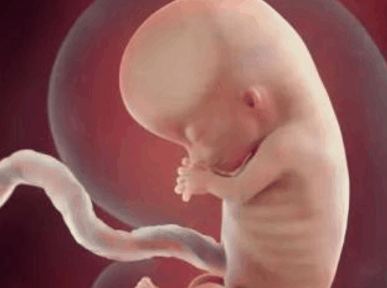 医生说孕期这四项产前数据可以让你知道胎儿智力_检查_宝宝_染色体有没有问题。