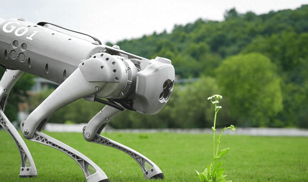 狗霸气亮相,吓得美方又惊又气,称受到威胁无法接受_美国_机器人_搭载