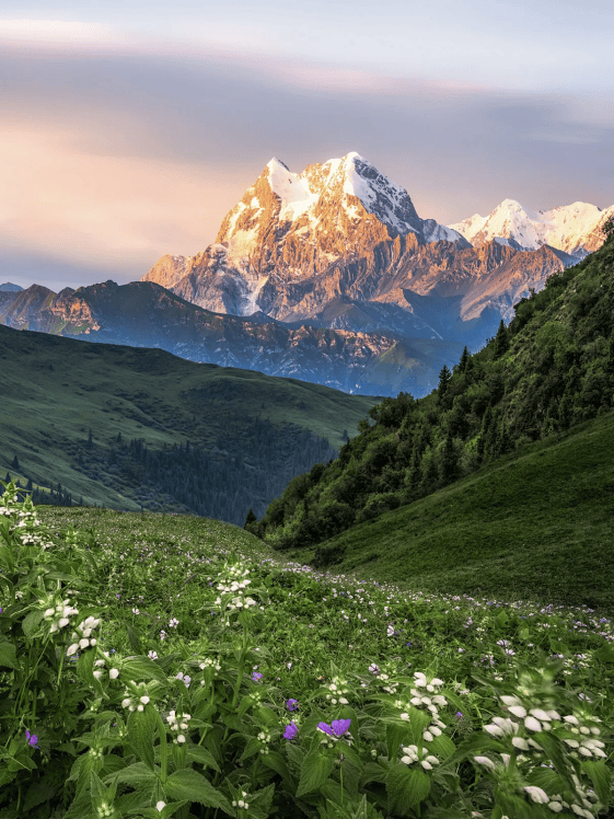 半山艾迪 | 苍山之麓,洱海之滨 跨越山海"艾"上25℃的盛夏