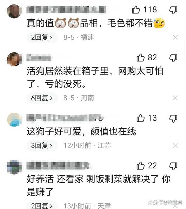 花200元网购金毛，到货一看傻眼了，网友：你捡漏了，它叫金毛