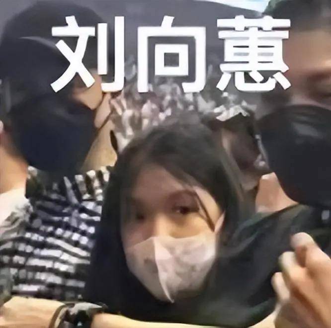 刘德华演唱会中途设计“滑跪”动作险些冲出高台，妻女皆在现场-刘德华舞台感染力
