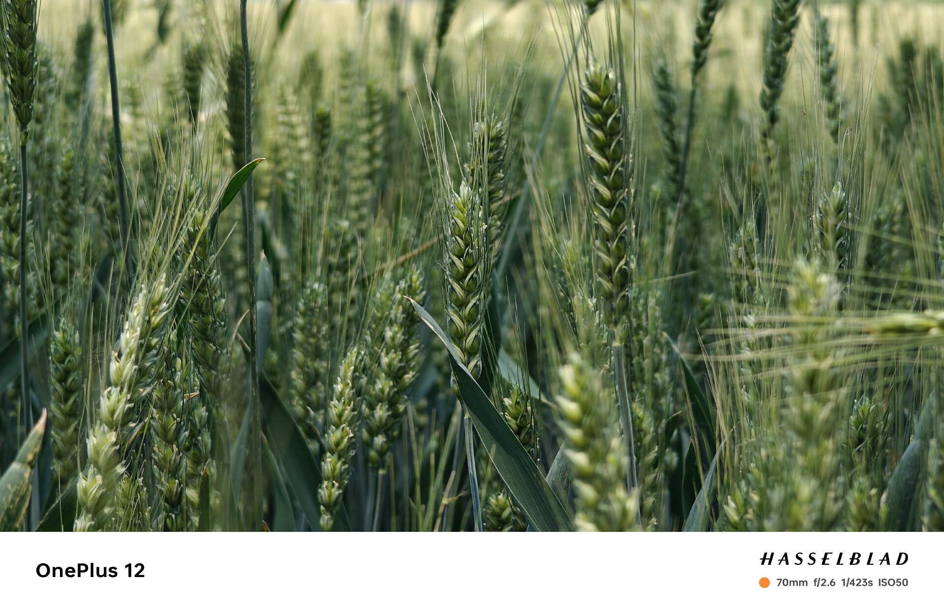 数码爱好者的EDC有什么？每个都需要，每个都必要