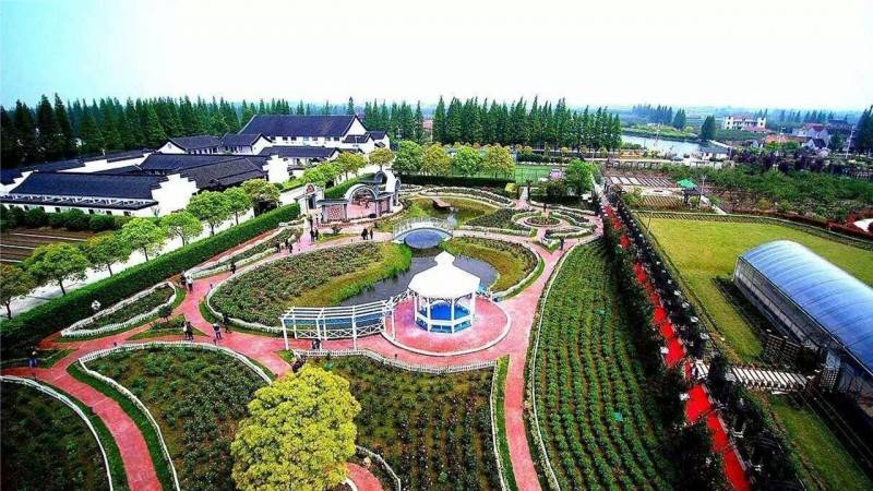 田禾仙健康生活营在上海崇明岛西来农庄度假村隆重举行开营仪式