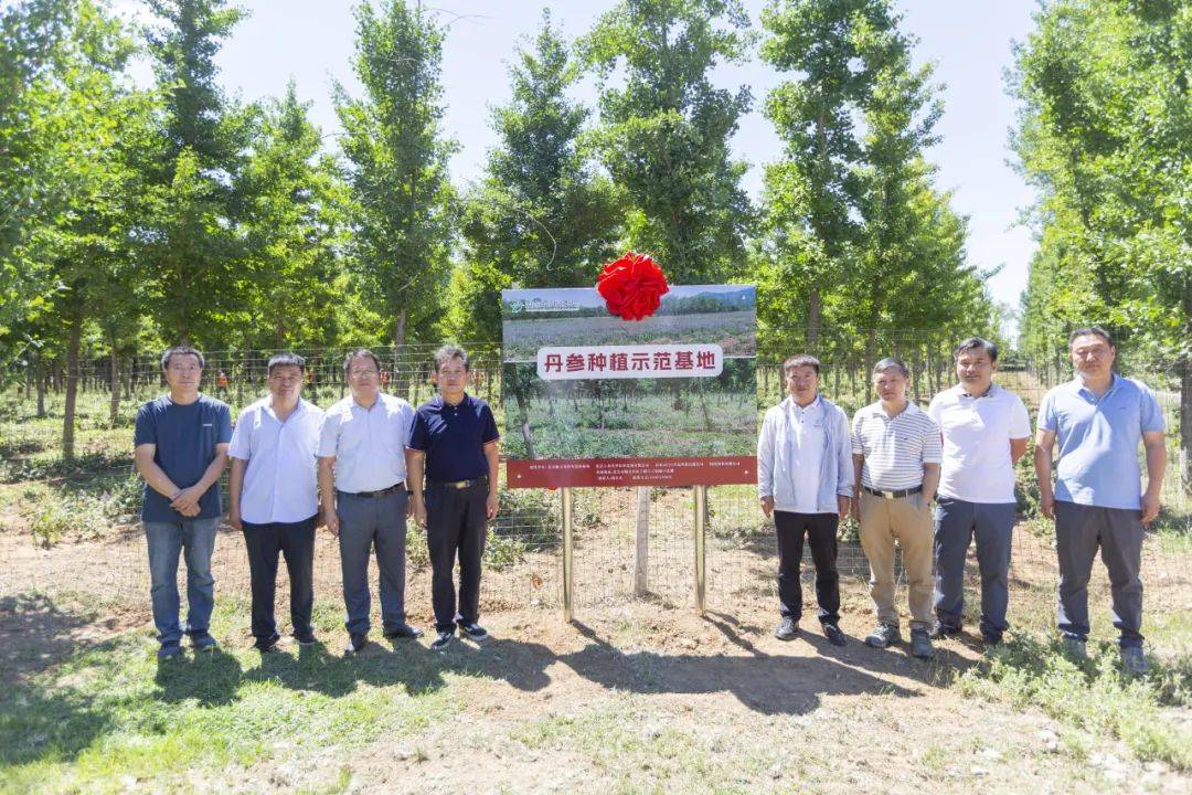 顺义区龙湾屯集体林场举办中草药示范基地揭牌仪式