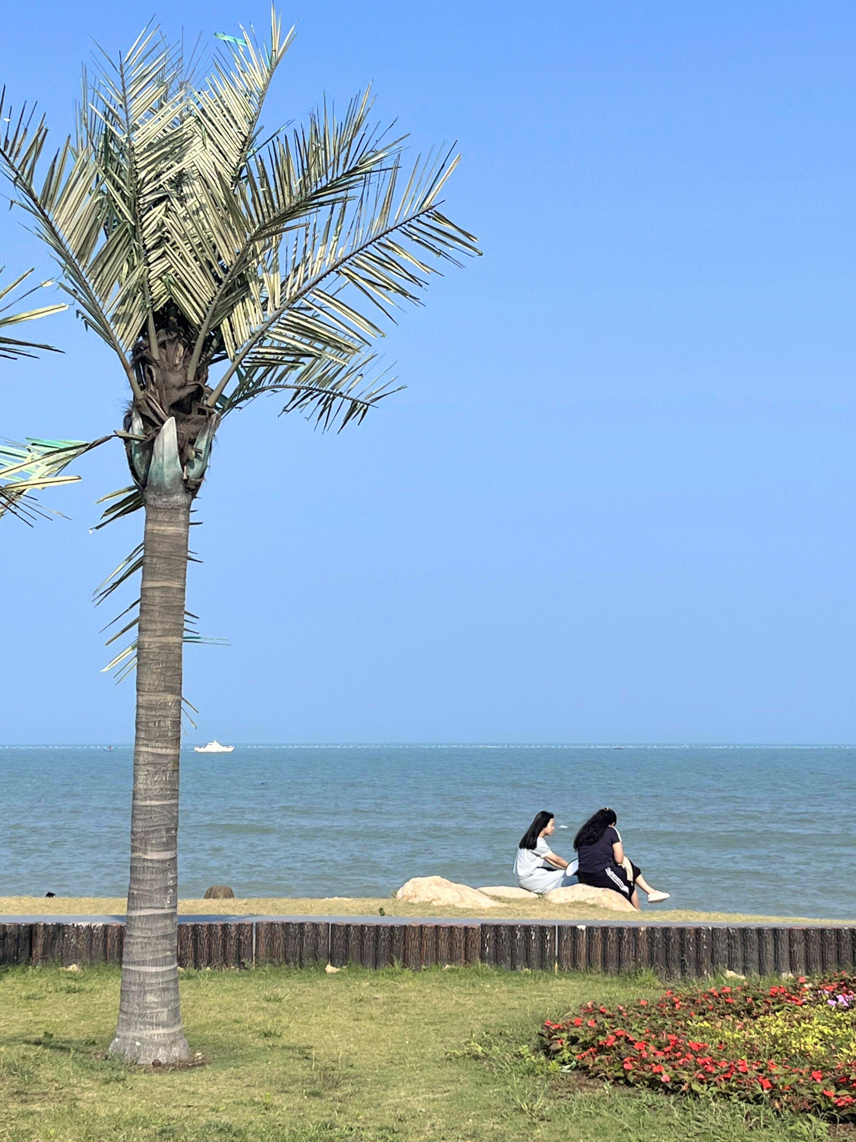 日照山海天旅游度假区图片