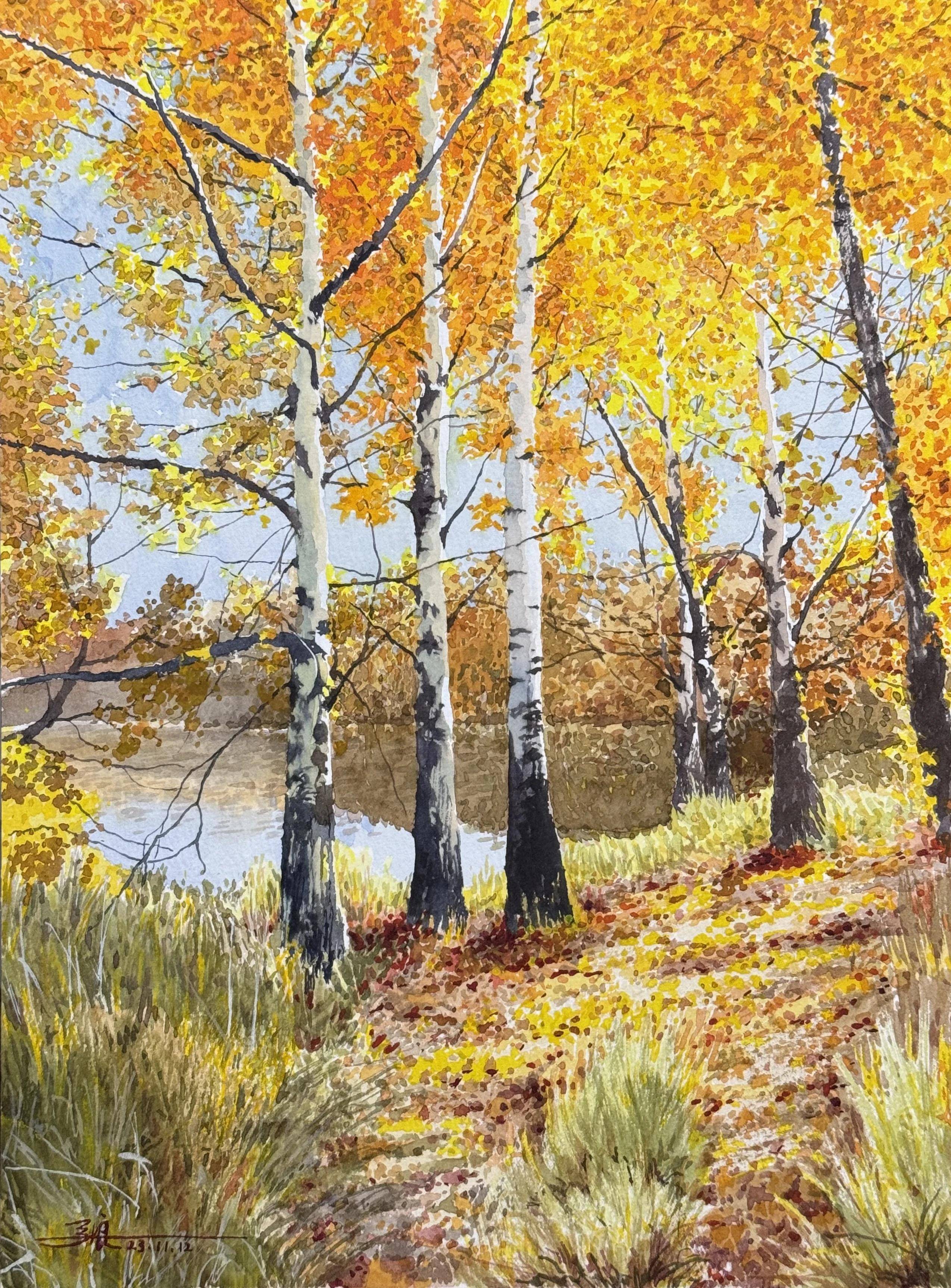 尺寸:31x 23cm作者:无声起飞(张良)作品:白桦林尺寸:46×61cm作者