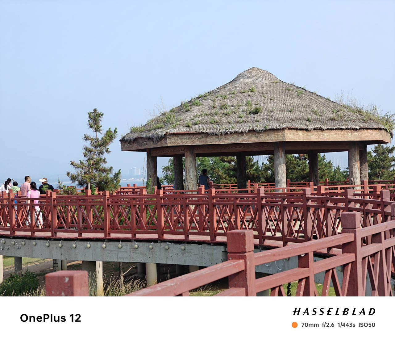 暑期出去旅行,用一加12手机记录沿途美景