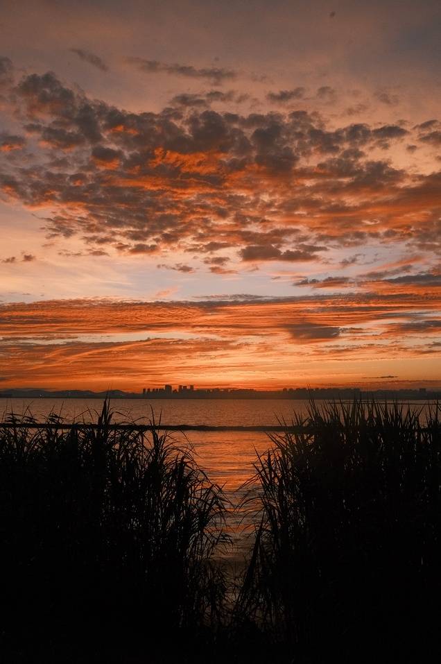 夕阳西下,苏州相城望亭北太湖畔晚霞烂漫,仿佛天边铺开金色画卷